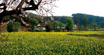 田园风景