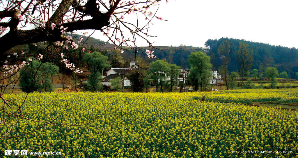 田园风景