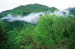 水西森林公园
