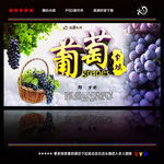水果 葡萄