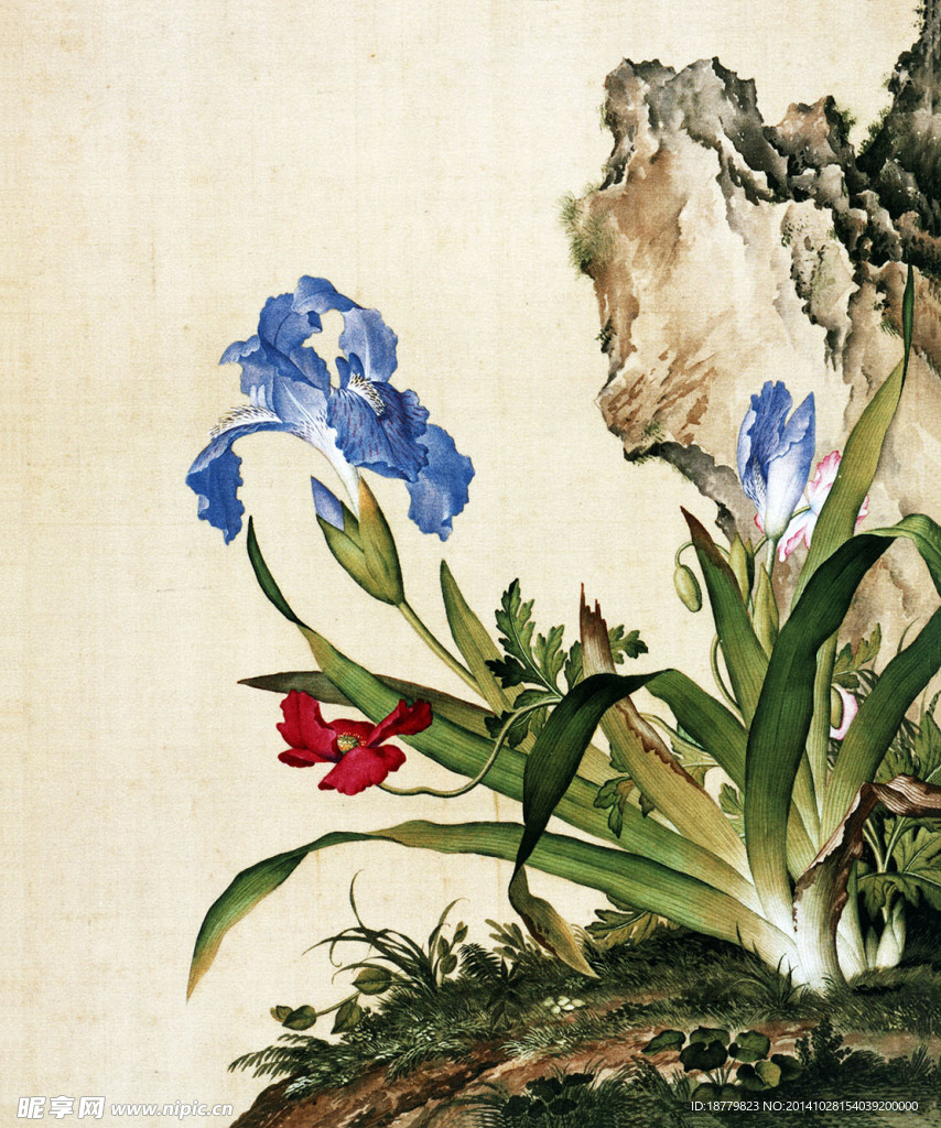 蝴蝶花图
