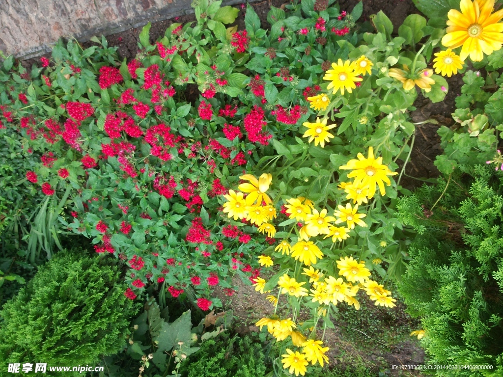 小花