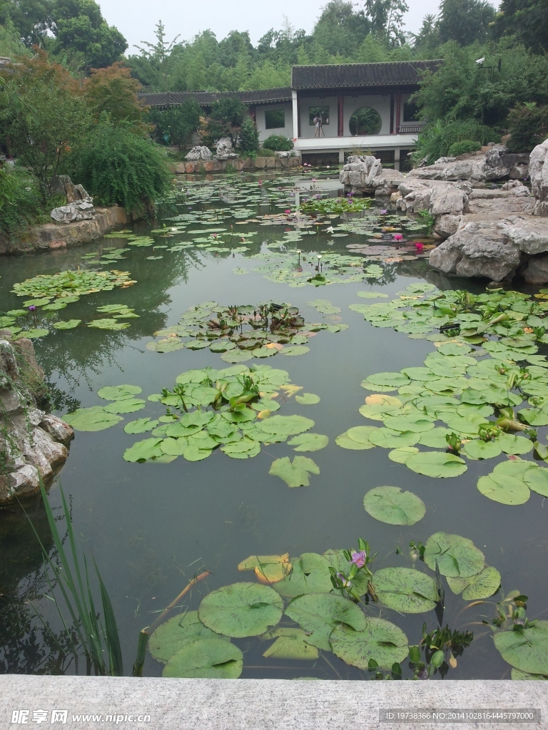 花园池塘