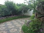 花园一角
