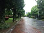 雨天情景