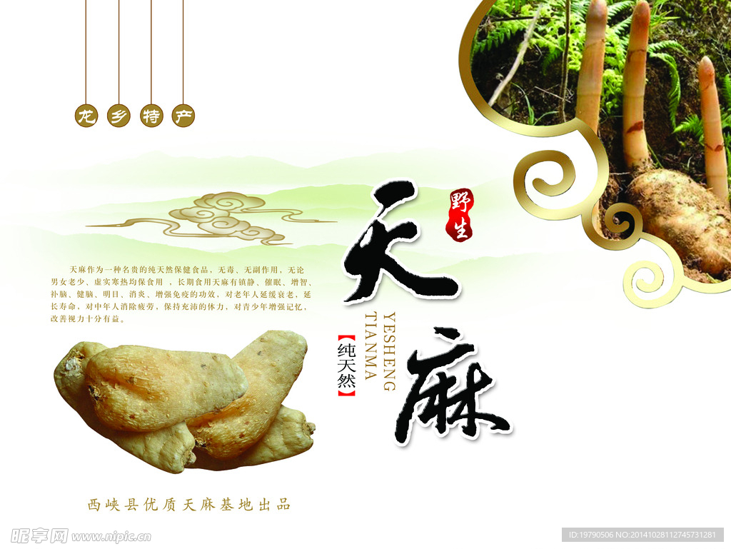 天麻产品包装高清素材