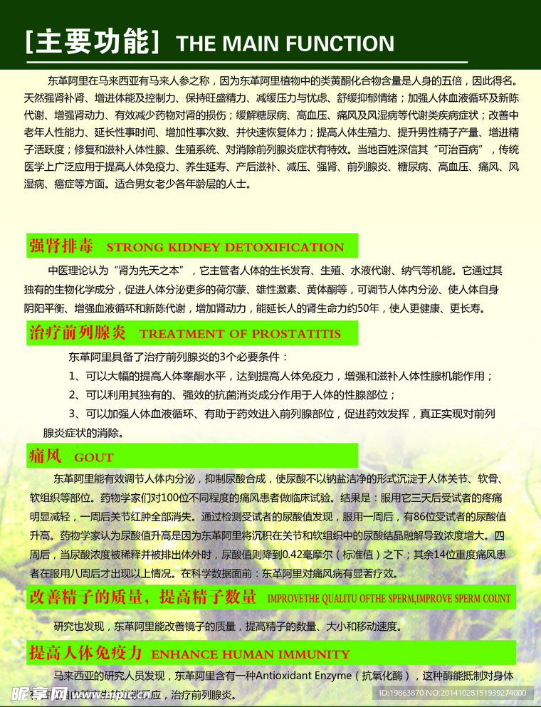 东革阿里