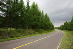 公路 道路