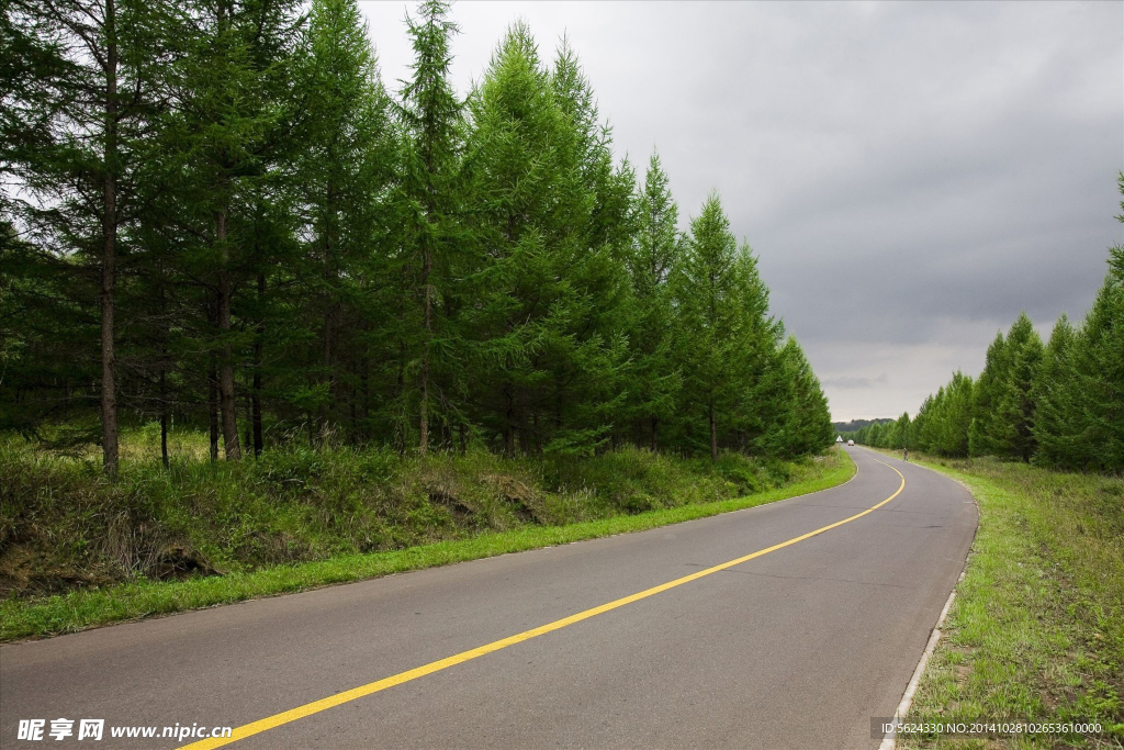 公路 道路