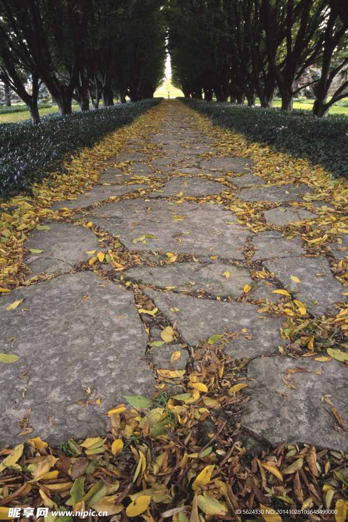 公路 道路