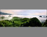 茶山