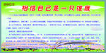 学校展板励志篇