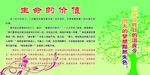 生命的价值