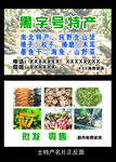 土特产名片