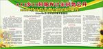 村民生育自章程