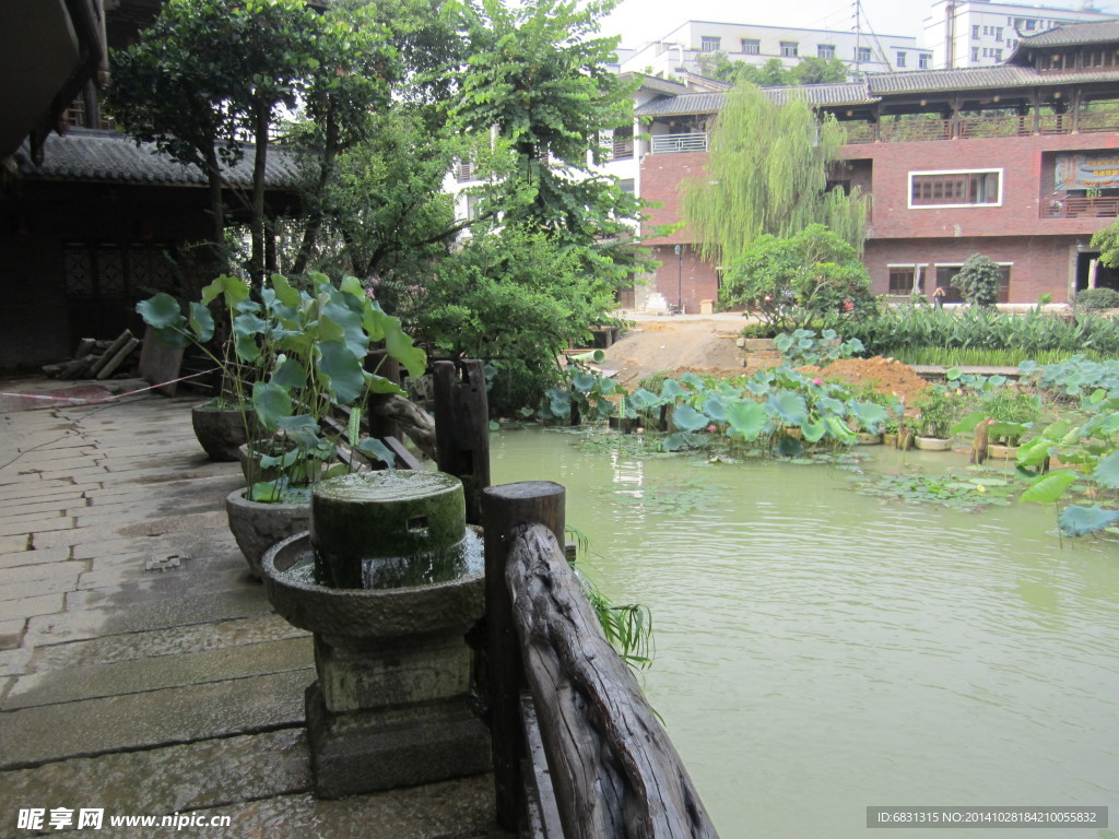 池塘风景