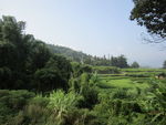 美丽田园风光