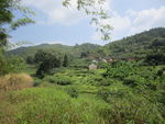 山村田园风光