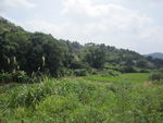 乡村田园美景