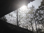 屋檐
