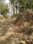 小路