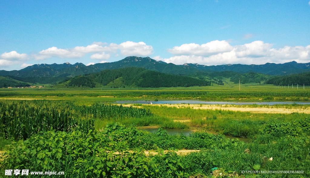 田野风景