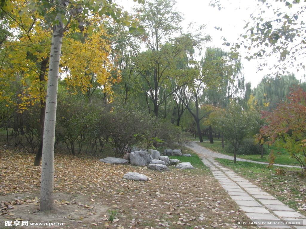 小路