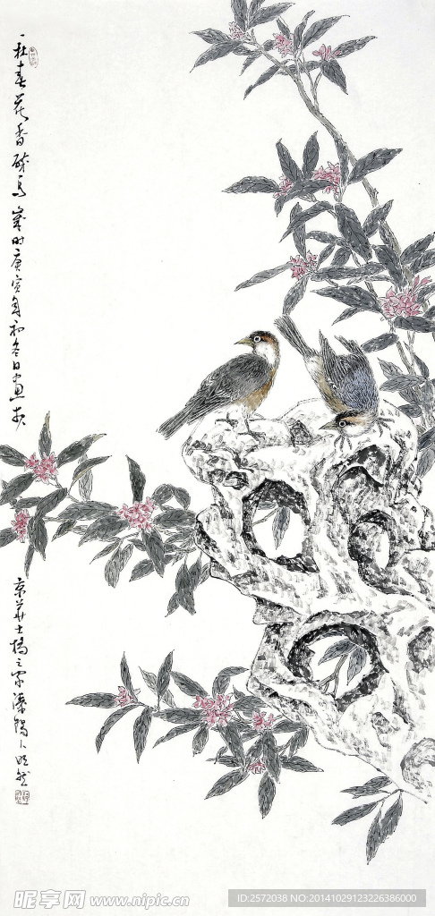花鸟图