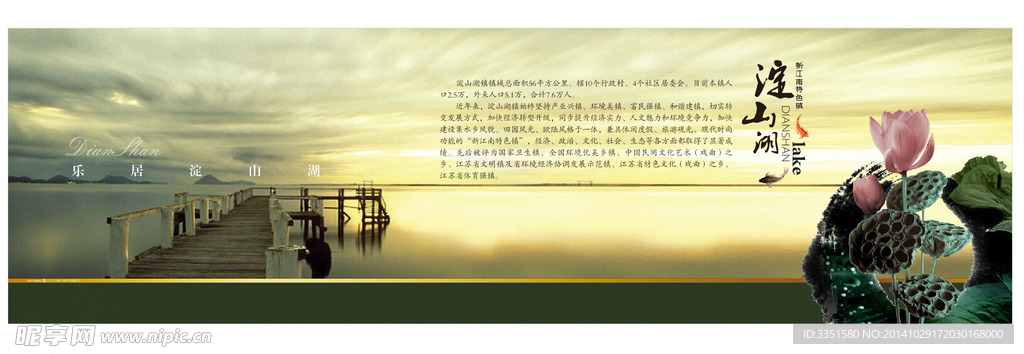 水景 荷花