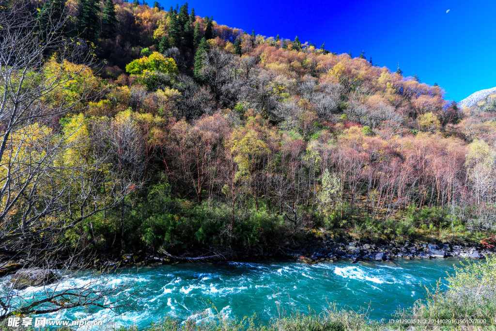 梭磨河大峡谷