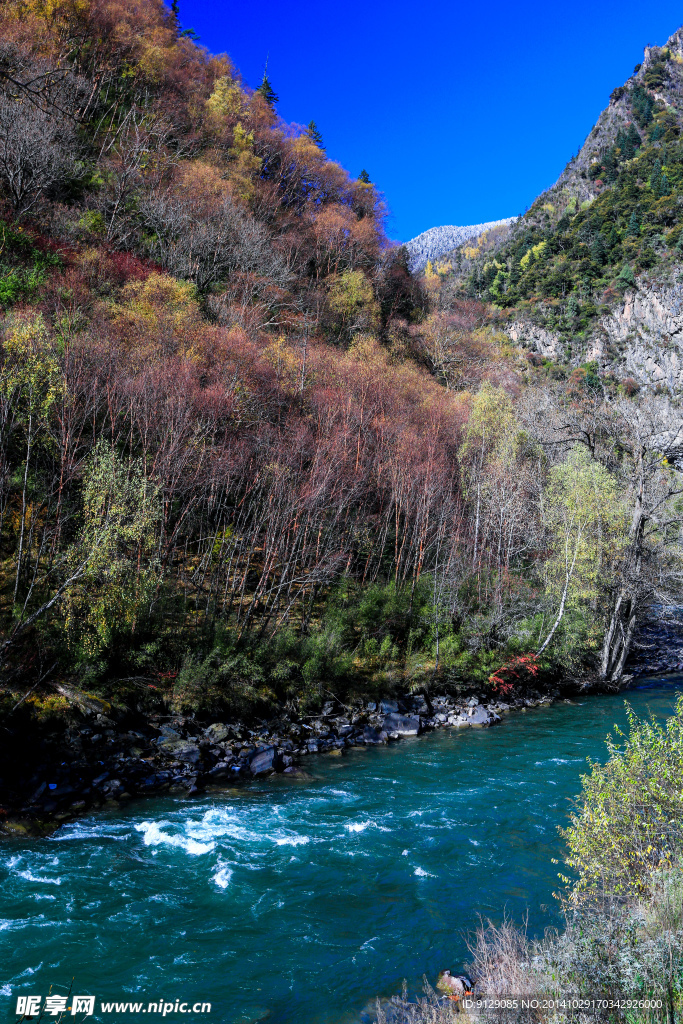 梭磨河大峡谷