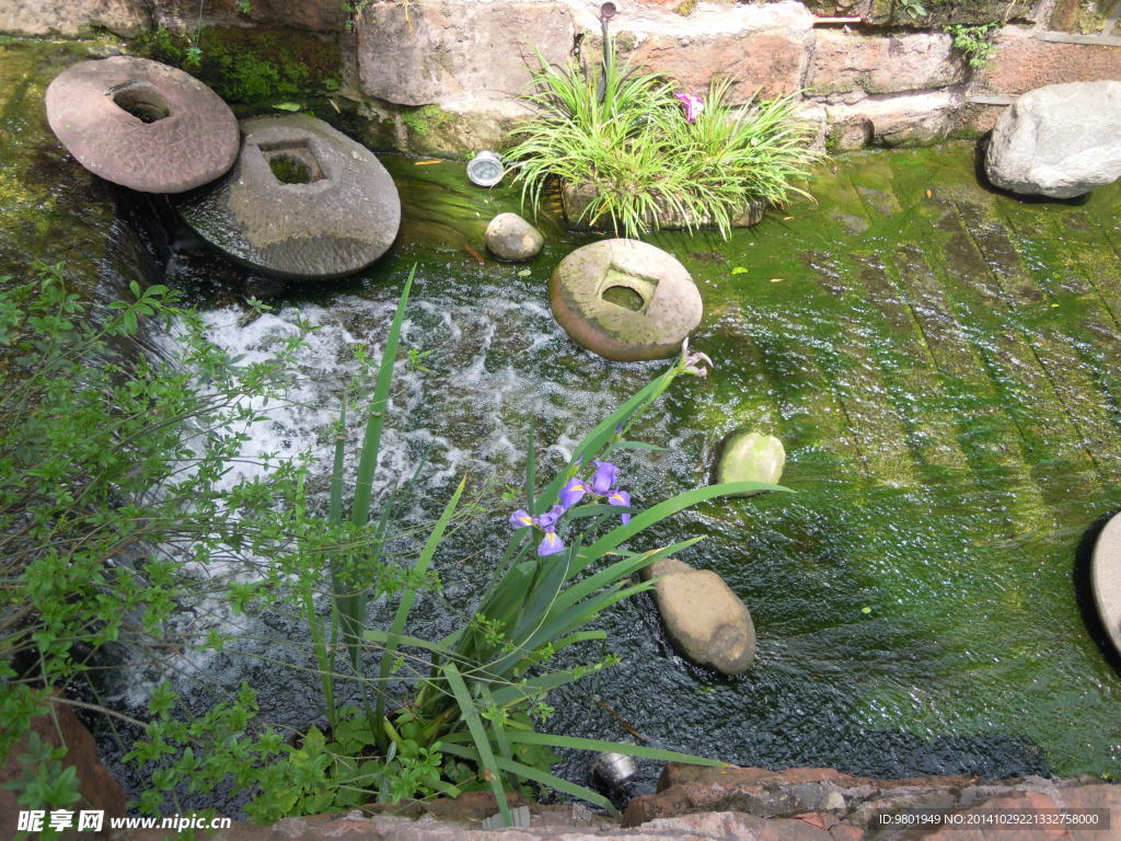 水景