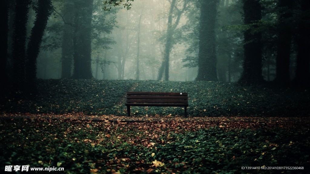 公园 凳子 风景