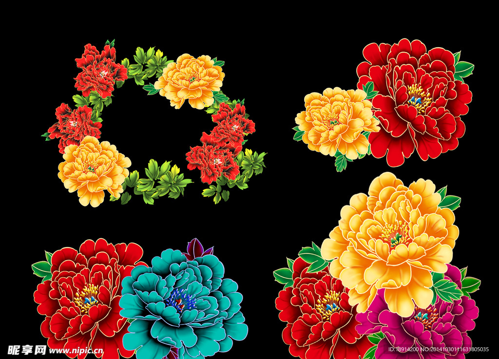 牡丹花图片