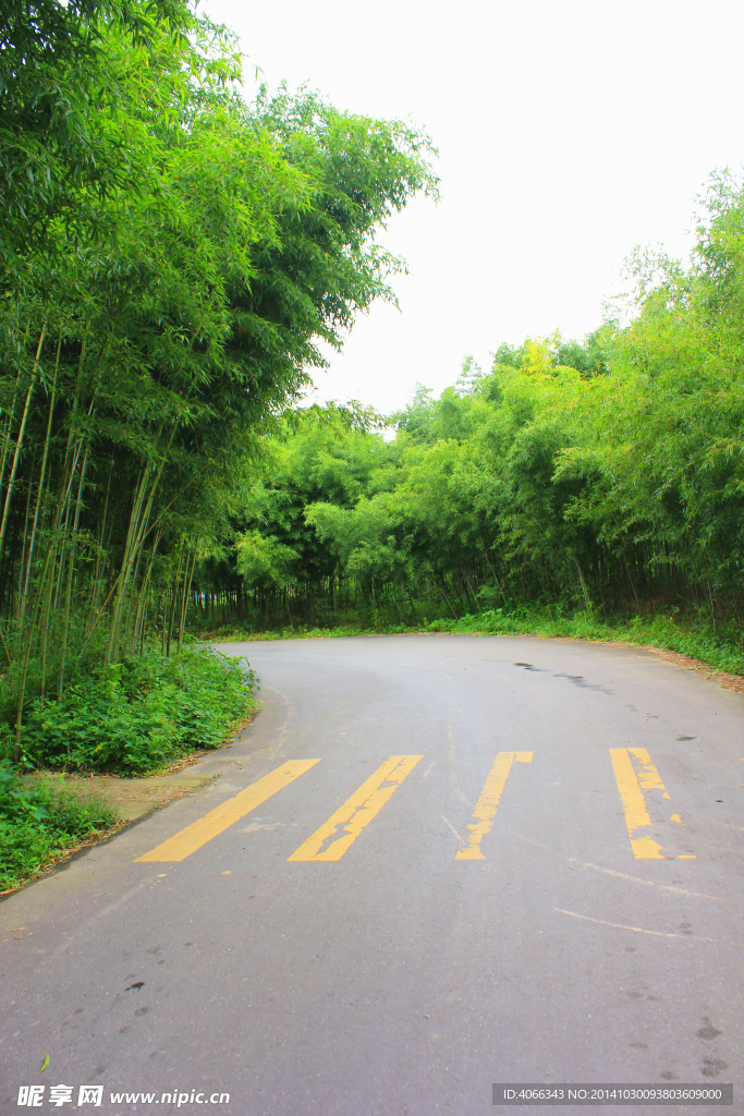 竹林