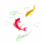 鲤鱼戏水