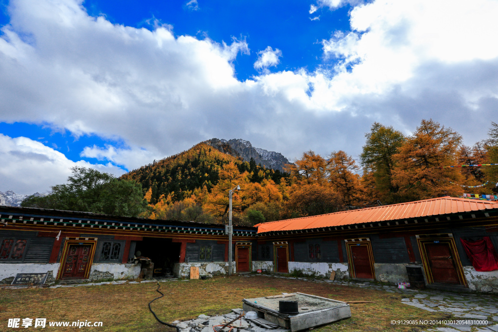 冲古寺