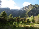 山林