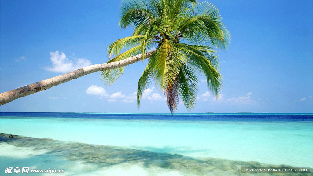 海滩风景