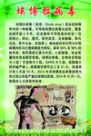 埃博拉