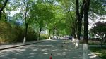 山大风光