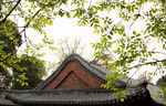 古建春天