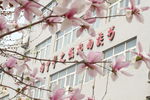 学校标语