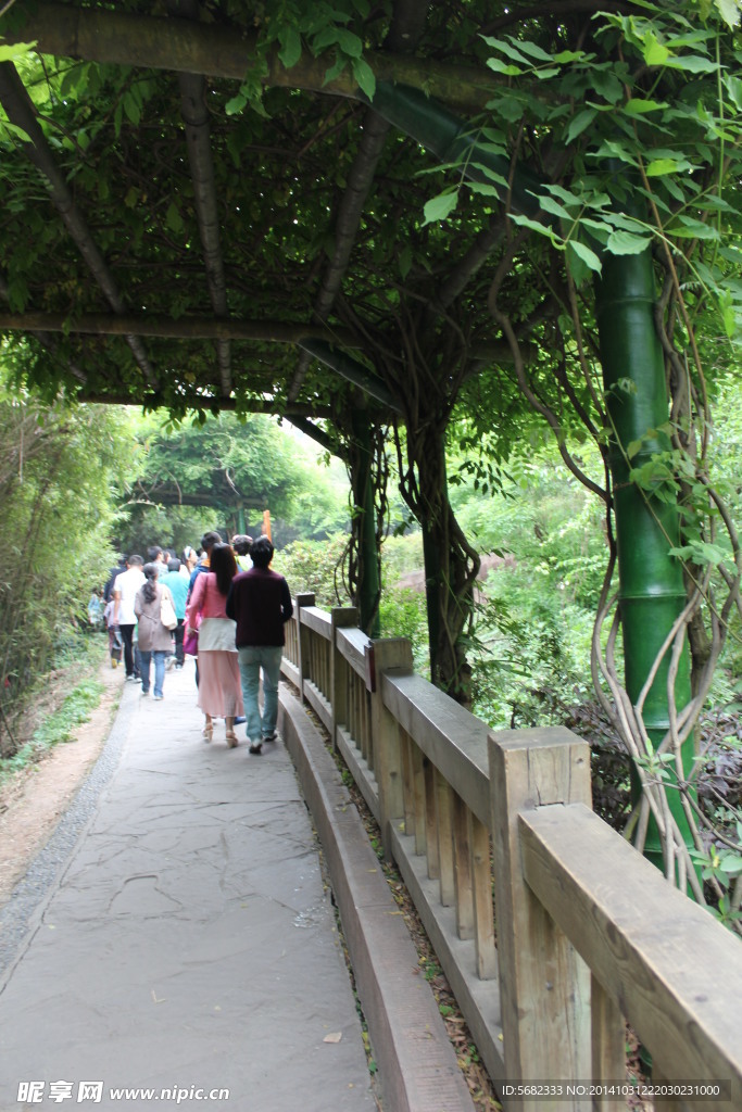 熊猫基地