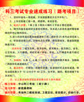 科目三路考项目名片
