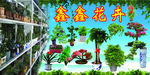 花卉