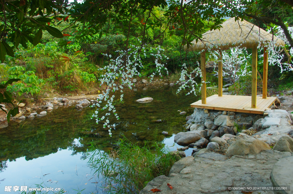 山水 水影桃花