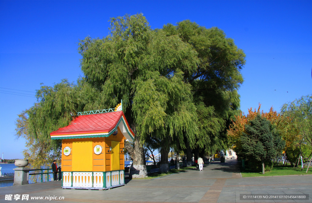 松花江畔风景