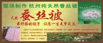 蚕丝被