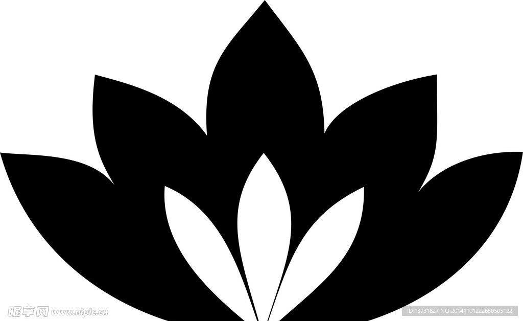 莲花纹样